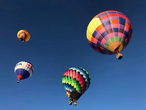 Image the New Mexico Balloon Fiesta